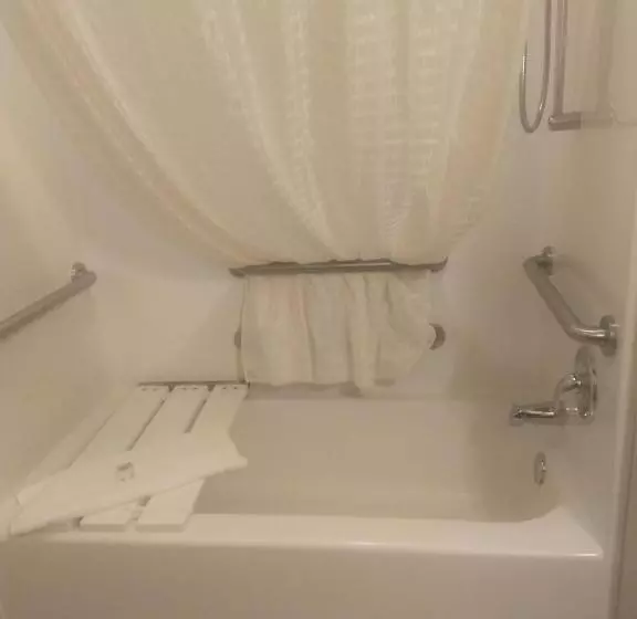 身障者適用スタンダードルーム, Cobblestone Inn & Suites   Avoca