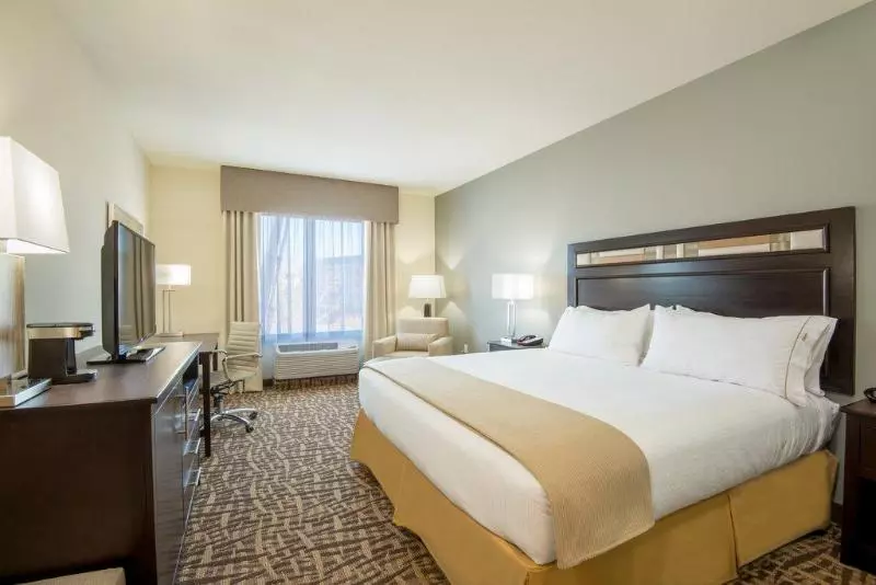 キングサイズベッドのスタンダードルーム, Holiday Inn Express & Suites Denver South   Castle Rock, An Ihg