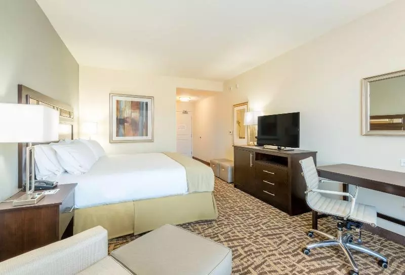 身障者適用キングサイズベッドルーム, Holiday Inn Express & Suites Denver South   Castle Rock, An Ihg