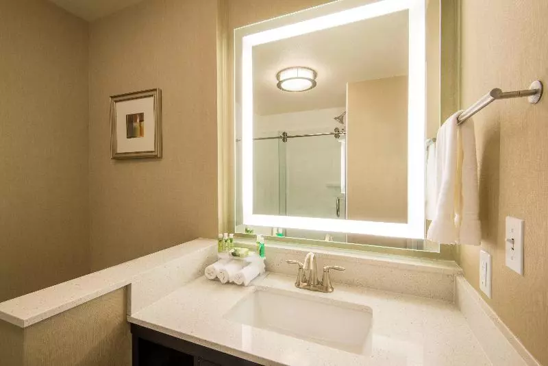身障者適用キングサイズベッドルーム, Holiday Inn Express & Suites Denver South   Castle Rock, An Ihg