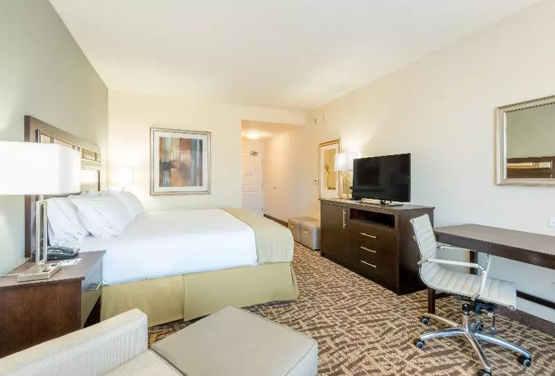 身障者適用キングサイズベッドルーム, Holiday Inn Express & Suites Denver South   Castle Rock, An Ihg