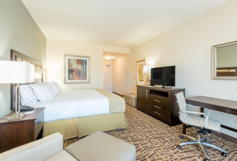 Номер Стандарт Кровать Кинг Адаптированный для Инвалидов, Holiday Inn Express & Suites Denver South   Castle Rock, An Ihg