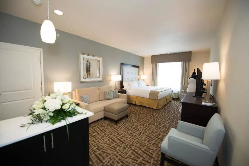 スイート, Holiday Inn Express & Suites Denver South   Castle Rock, An Ihg