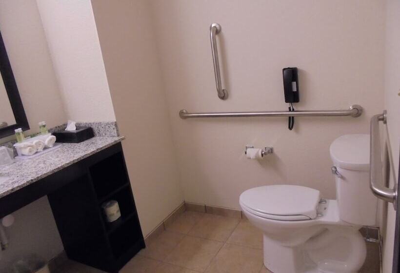 套房, Holiday Inn Express & Suites Nevada, An Ihg