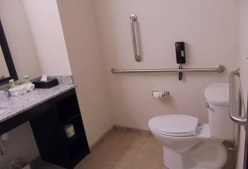 スイート, Holiday Inn Express & Suites Nevada, An Ihg