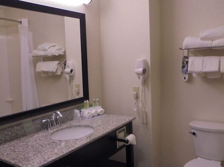 套房, Holiday Inn Express & Suites Nevada, An Ihg