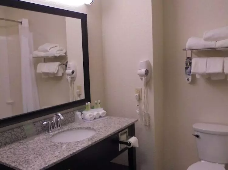 スイート, Holiday Inn Express & Suites Nevada, An Ihg