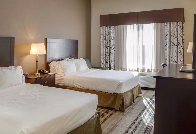 スイート, Holiday Inn Express & Suites Nevada, An Ihg