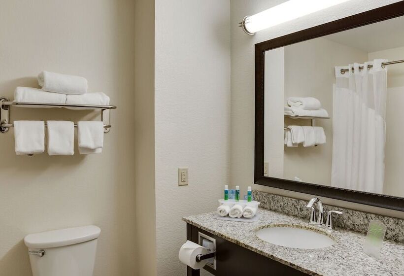 套房, Holiday Inn Express & Suites Nevada, An Ihg