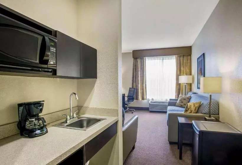 Deluxe-huone Soveltuu Liikuntarajoitteisille, La Quinta By Wyndham Karnes City Kenedy