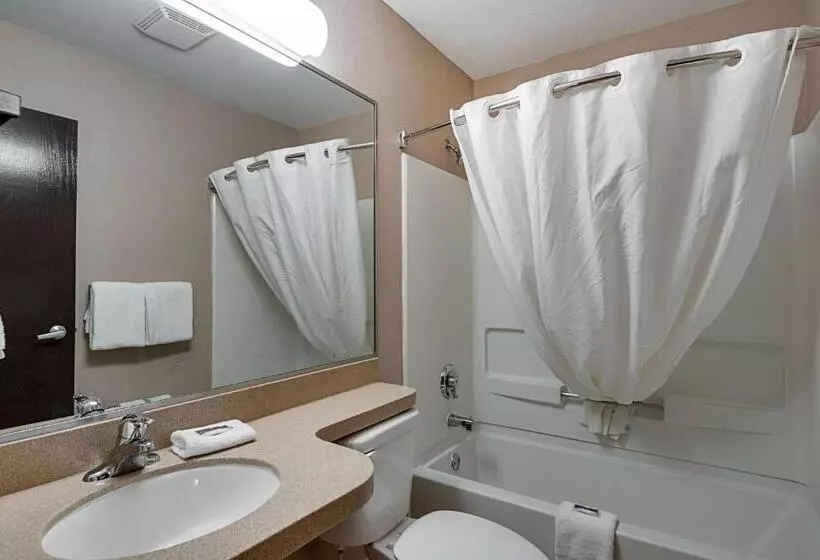 اتاق استاندارد, Motel 6mcallen, Tx  East