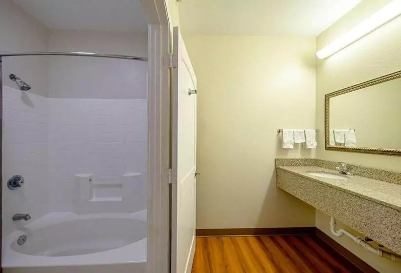 Standard-huone King-vuode, Motel 6rhome, Tx