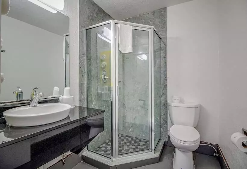 デラックスルーム, Motel 6 Conroe, Tx