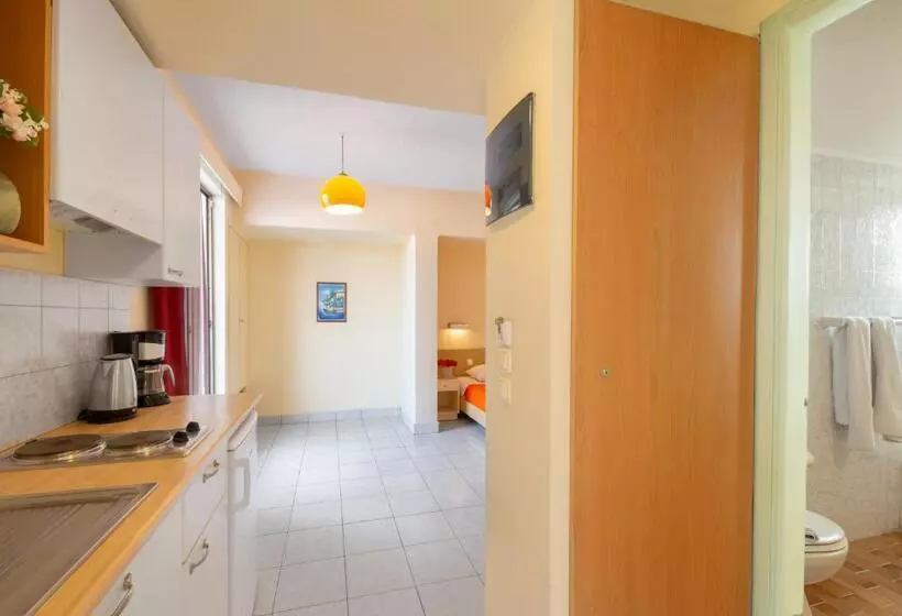 Chambre Standard, Pavlos