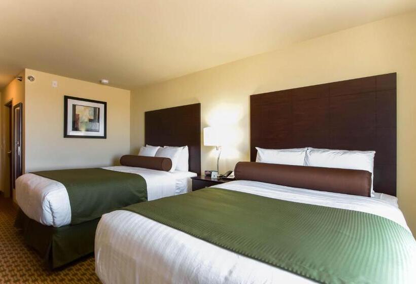 스탠다드 룸, Cobblestone Inn & Suites   Eads