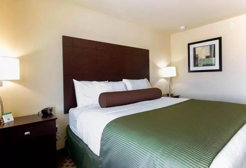 キングサイズベッドのスタンダードルーム, Cobblestone Inn & Suites Eads