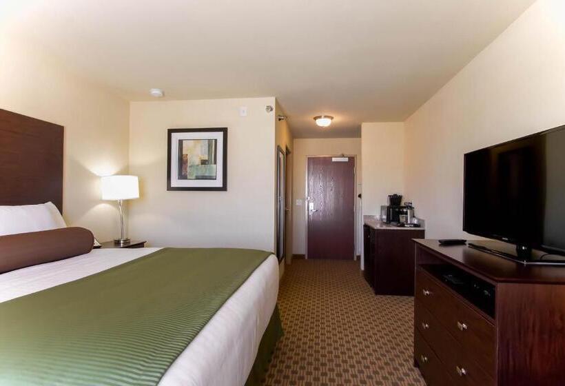 스탠다드 룸 킹사이즈 침대, Cobblestone Inn & Suites   Eads