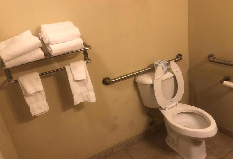 غرفة قياسية سرير كينج لذوى الإحتياجات الخاصة, Cobblestone Inn & Suites   Eads