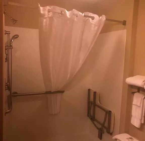 身障者適用キングサイズベッドルーム, Cobblestone Inn & Suites Eads