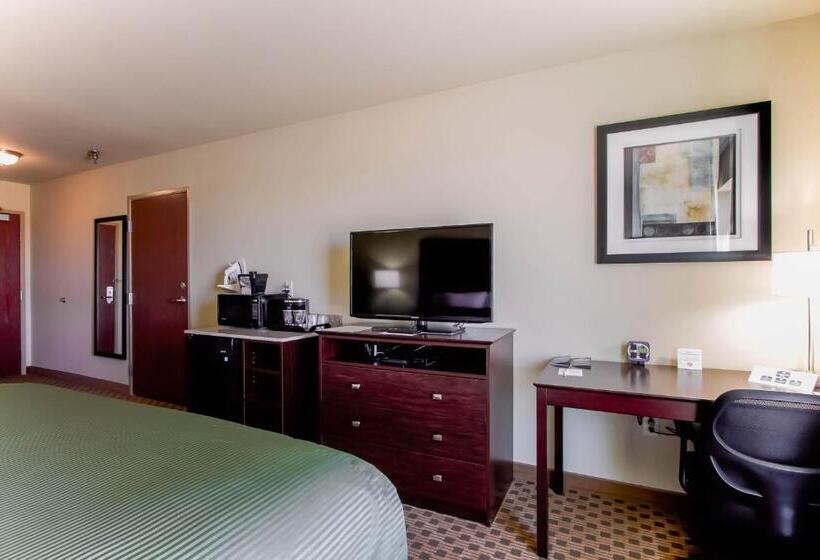 장애인을 위한 킹사이즈 침대 스탠다드 룸, Cobblestone Inn & Suites   Eads