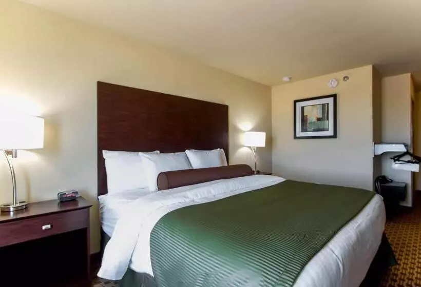 身障者適用キングサイズベッドルーム, Cobblestone Inn & Suites Eads