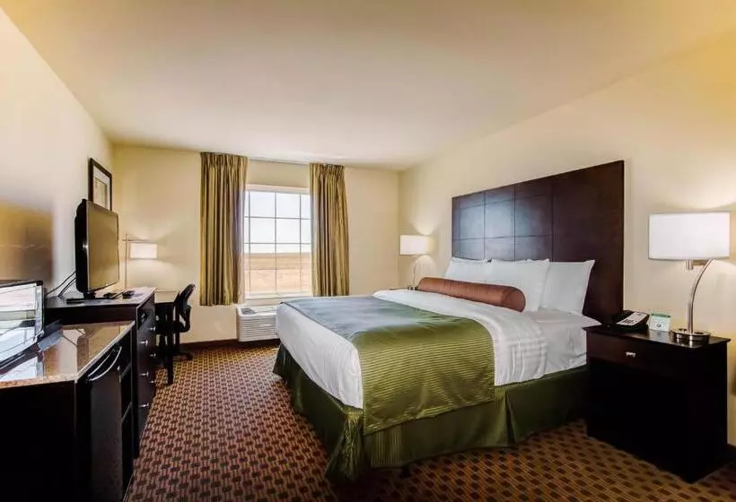身障者適用キングサイズベッドルーム, Cobblestone Inn & Suites Eads