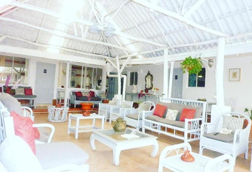 اتاق استاندارد یک نفره, Ivania´s