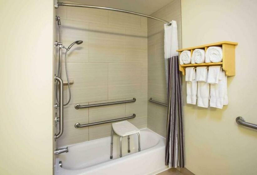 Номер Стандарт Кровать Кинг Адаптированный для Инвалидов, La Quinta By Wyndham Rochester Mayo Clinic Area South