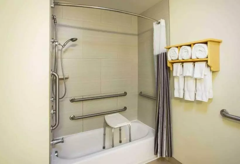 身障者適用キングサイズベッドルーム, La Quinta By Wyndham Rochester Mayo Clinic Area South