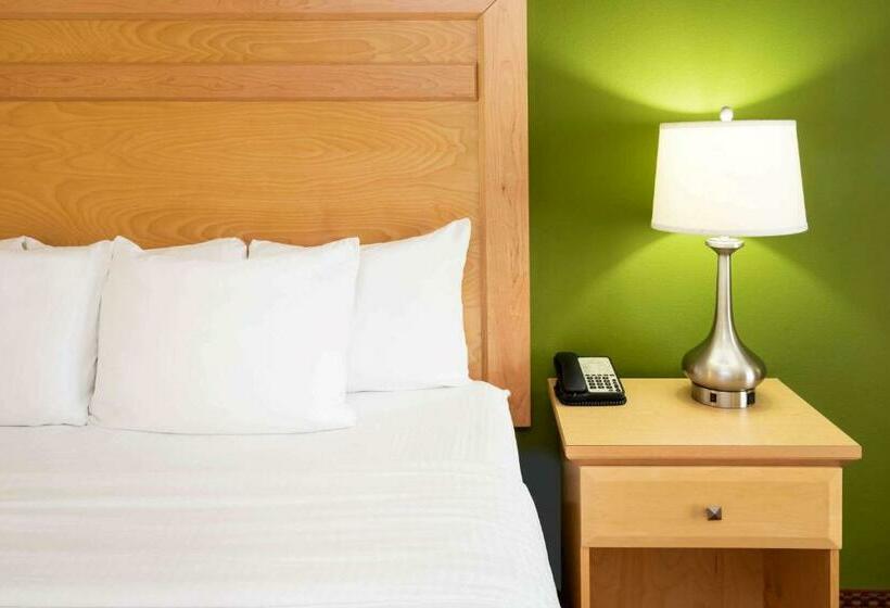 适合残疾人士使用的带超级大床的标准间, La Quinta By Wyndham Rochester Mayo Clinic Area South