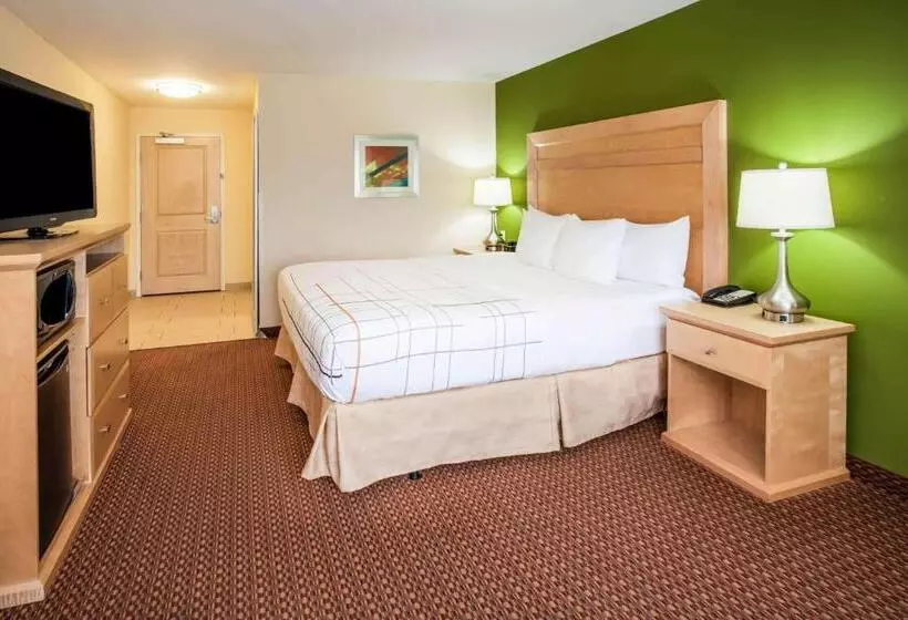 キングサイズベッドのスタンダードルーム, La Quinta By Wyndham Rochester Mayo Clinic Area South