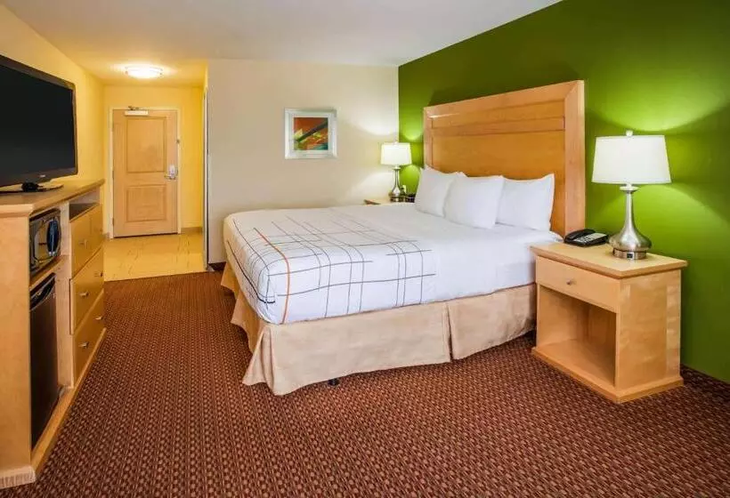 キングサイズベッドのスタンダードルーム, La Quinta By Wyndham Rochester Mayo Clinic Area South