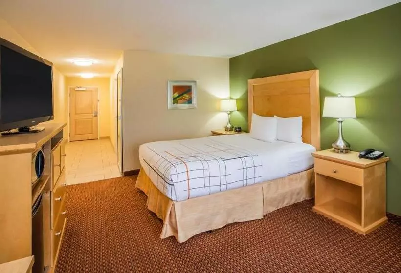 デラックスルーム, La Quinta By Wyndham Rochester Mayo Clinic Area South