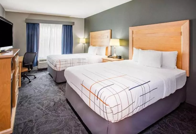 身障者適用スタンダードルーム, La Quinta By Wyndham Rochester Mayo Clinic Area South