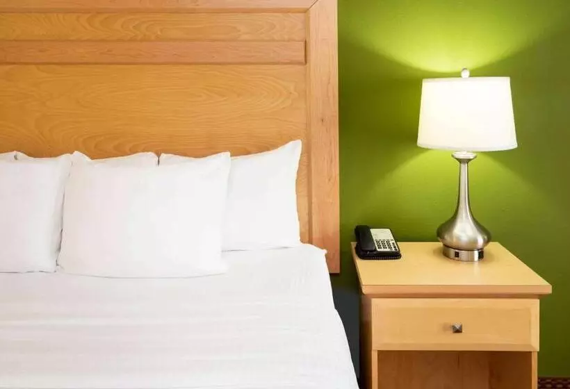 身障者適用スタンダードルーム, La Quinta By Wyndham Rochester Mayo Clinic Area South