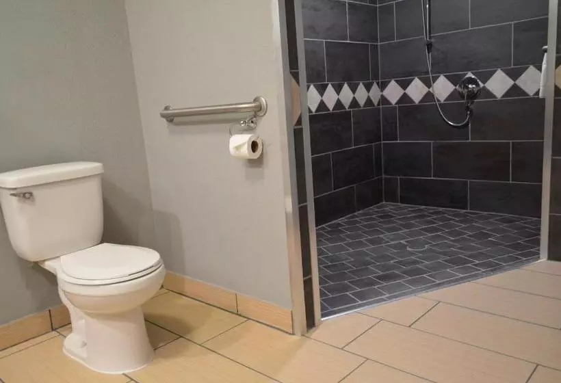 キングサイズベッドのスイートルーム, La Quinta By Wyndham Rochester Mayo Clinic Area South