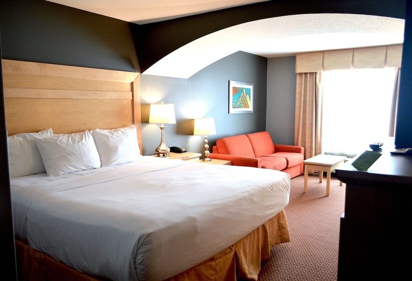 适用于残疾人士的豪华房间, La Quinta By Wyndham Rochester Mayo Clinic Area South