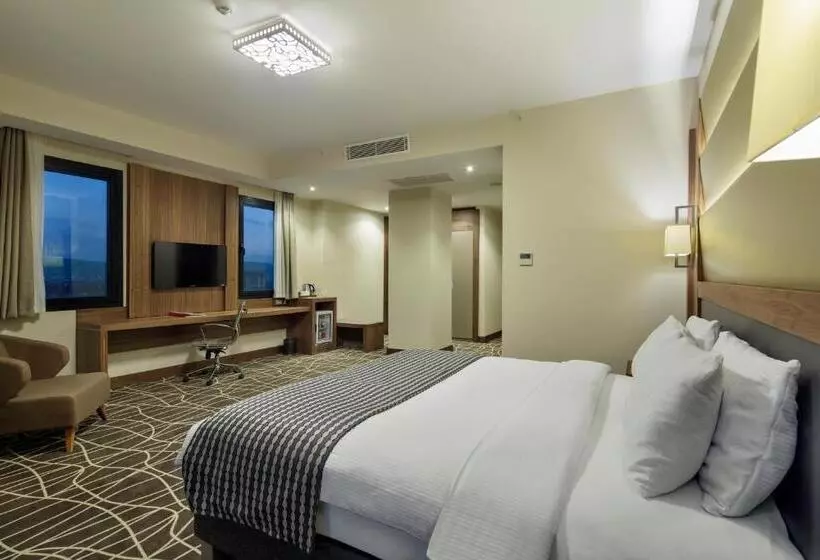 Deluxe-huone, Ramada By Wyndham Elazığ