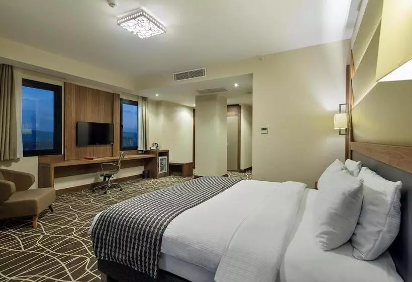 Standard-huone King-vuode, Ramada By Wyndham Elazığ