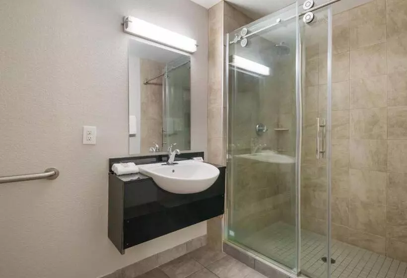 デラックスルーム, Red Roof Inn San Antonio E   Frost Bank Center