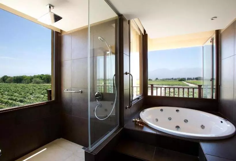 Suite, Grace Cafayate