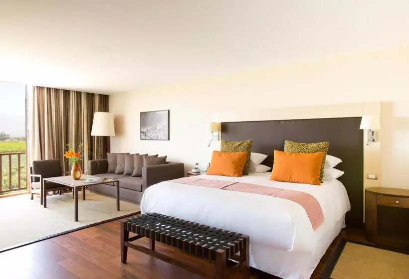 Suite, Grace Cafayate