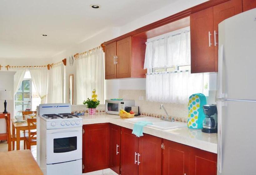 جناح جونيور مطل على الحديقة, Corales Suites