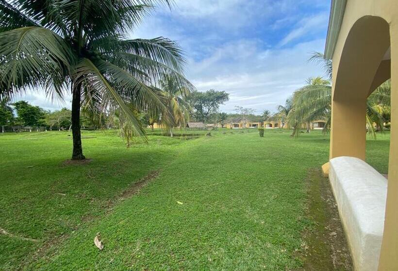 استودیوی استاندارد, Amatique Bay