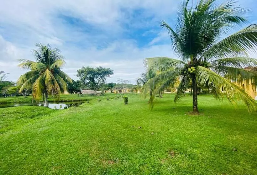 اتاق استاندارد, Amatique Bay