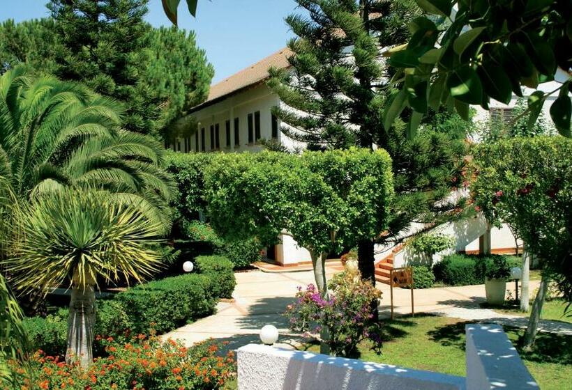 スタンダードルーム, Igv Club Marispica