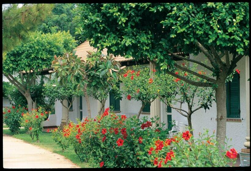 اتاق استاندارد, Igv Club Marispica