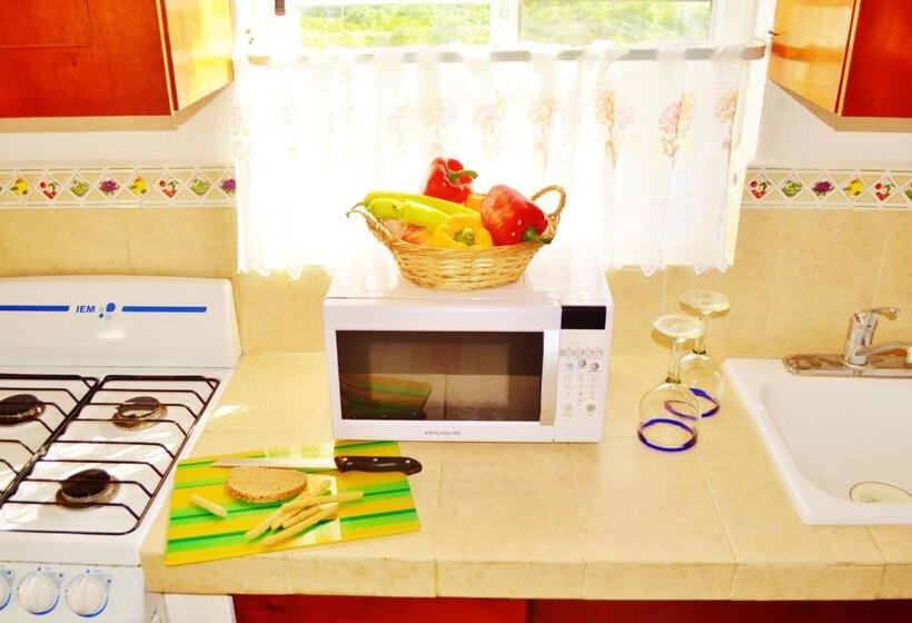 סוויטה עם נוף לים מהצד, 2 חדרי שינה, Corales Suites