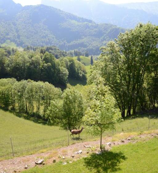 غرفة قياسية مطلة على الجبل, De Gruyeres
