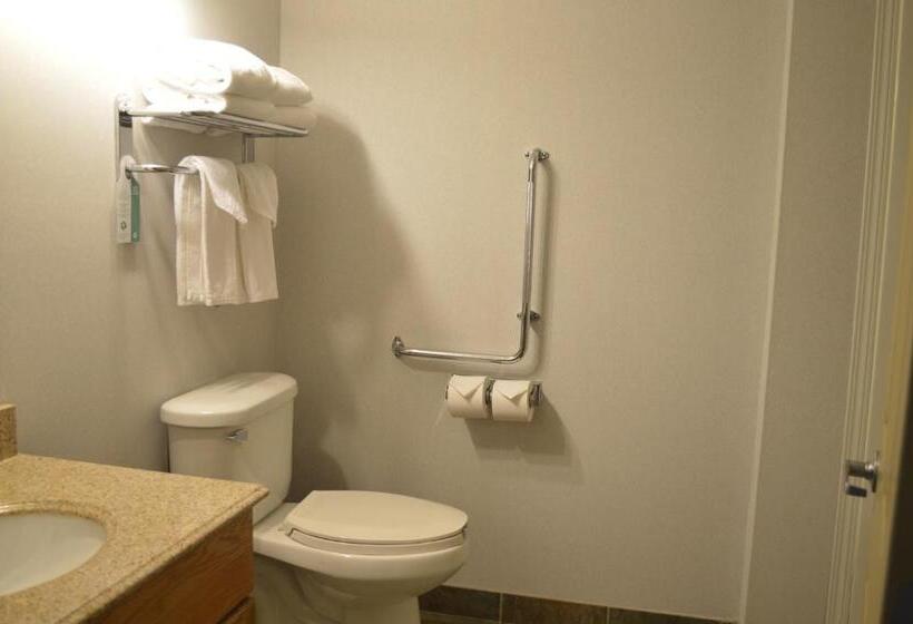 غرفة قياسية سرير ملكى لذوى الإحتياجات الخاصة, Hinton Lodge